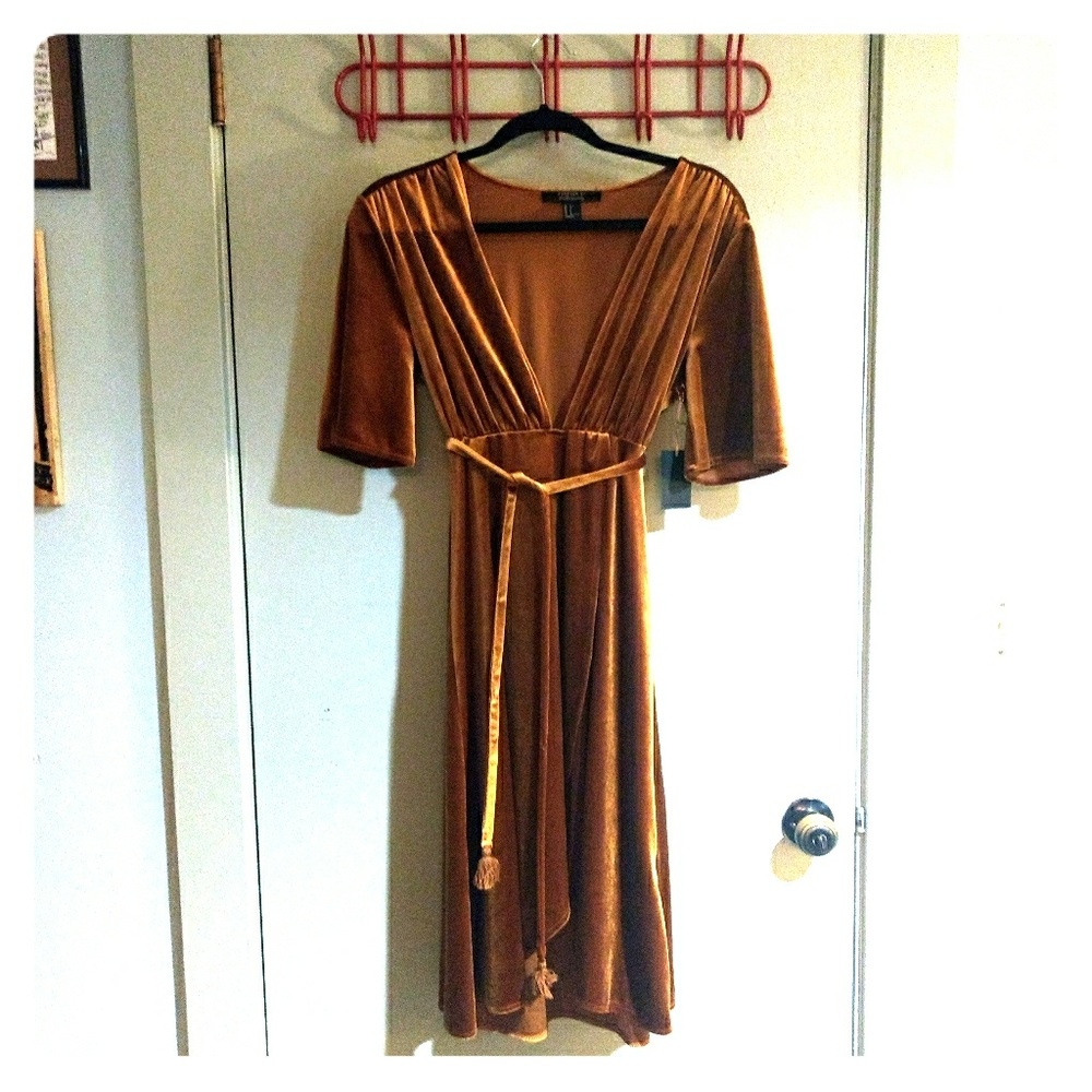 Forever 21 Burnt Orange Velvet Dress